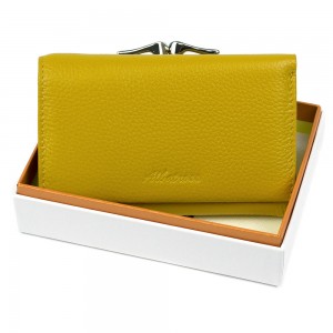 YS Женский кошелек Albatross 26-3219