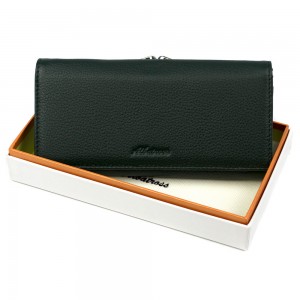 YS Женский кошелек Albatross 33-416